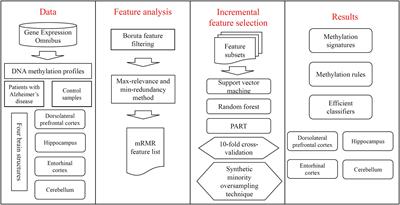 Detecting Brain Structure-Specific Methylation Signatures and Rules for Alzheimer’s Disease